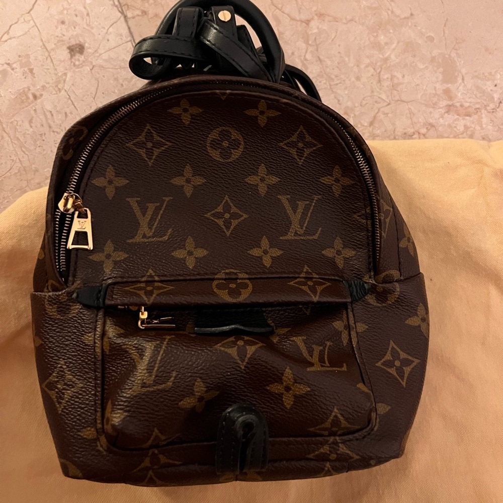 Louis Vuitton mini backpack